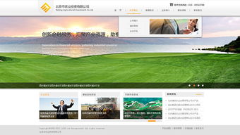 網思中國 高端網站定制與建設維護的行業典范